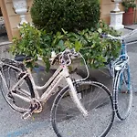 Sole Mare Versilia
