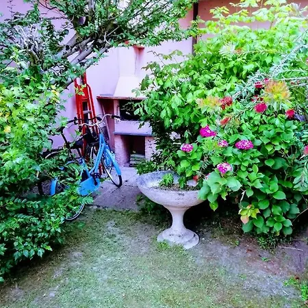 Sole Mare Versilia Villa *