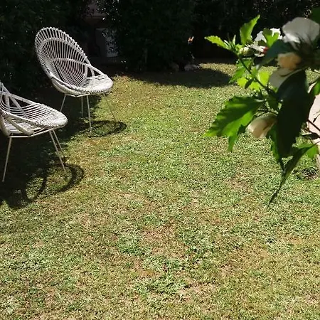 Sole Mare Versilia Villa